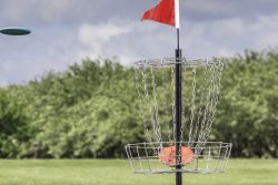 Absolute sport disc golf 