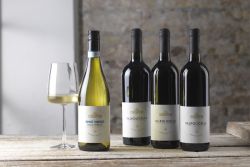 Årets vinpakke 4 italiensk