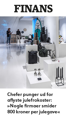 Artikel_Finans_25_nov_2021_266x488